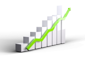 Municipality of Topeiros Progress Report